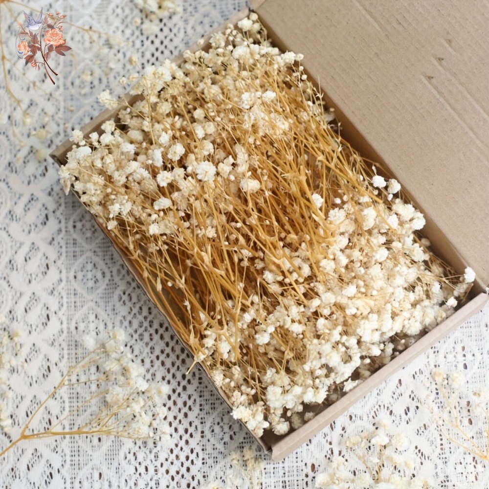 Resin Craft Ideas - 100 stuks Mini Gedroogde Baby's Breath
