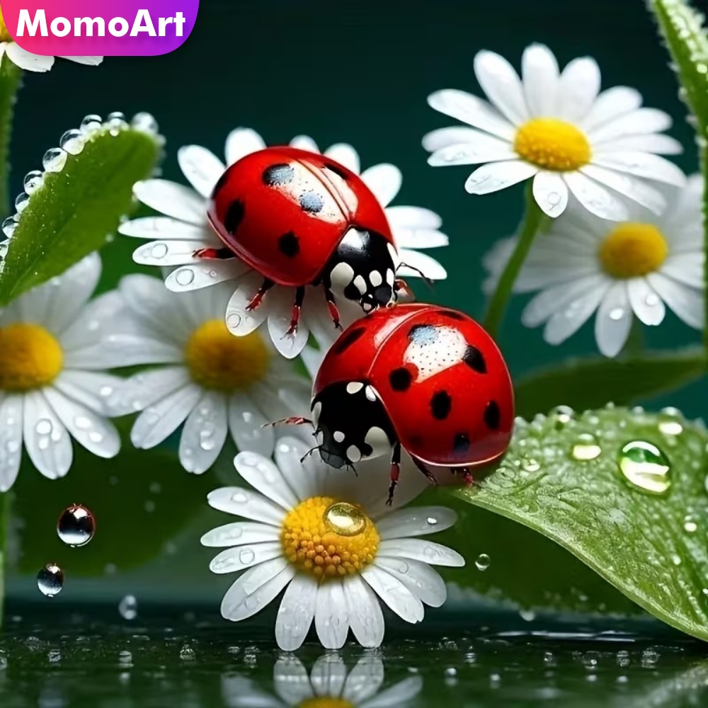 Momoart Diamond Painting Lieve - Resin Craft For Beginners recensie en prijs